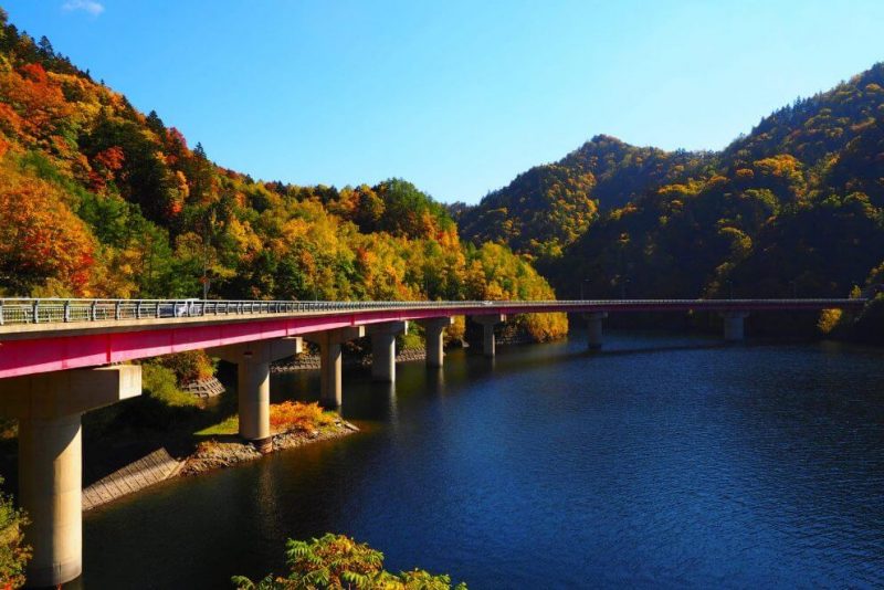 紅葉スポットを巡る札幌発小樽観光バスツアー