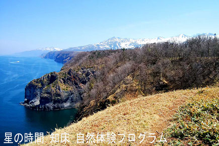 【知床】原生林と断崖トレッキング～北海道アウトドア資格ガイドがご案内～自然体験プログラム