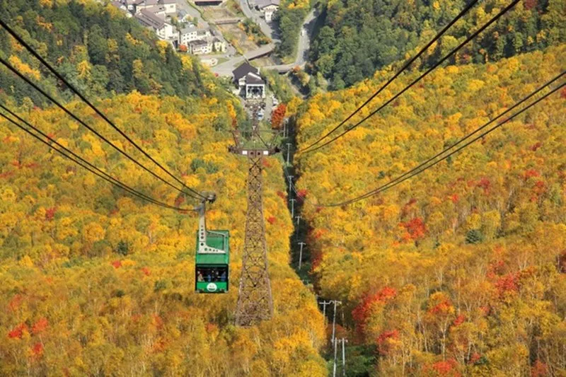 ＜札幌発着＞秋色深まる北海道 1泊2紅葉巡りツアー｜黒岳ロープウェイも！＜１泊２日＞