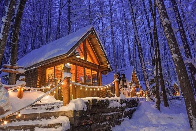 【札幌発】イルミネーションの旅　富良野ニングルテラス＆美瑛青い池＆白ひげの滝 日帰りツアー（Aプラン）