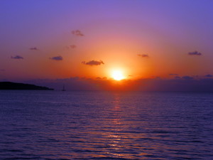 photo1