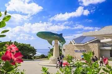 【沖縄バス★定期観光Bコース】海洋博公園（沖縄美ら海水族館）と今帰仁城跡