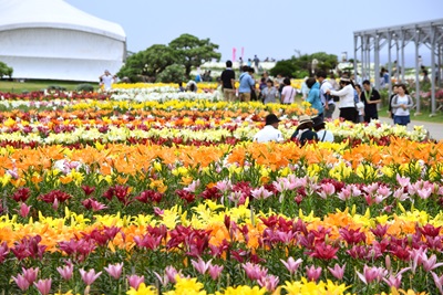 【与那原発コース　4/27・4/29・5/5出発】【西崎発コース　4/28・5/3・5/4出発】伊江島ゆり祭りバスツアー