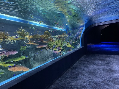 DMMかりゆし水族館