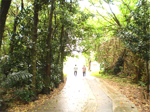 photo1