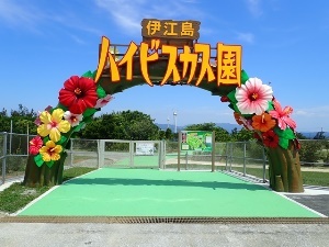 photo1