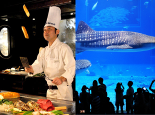 【那覇・北谷発／北部観光】美ら島終日観光バスツアー（Cコース）&沖縄老舗ステーキハウス「キャプテンズイン」ステーキディナー♪