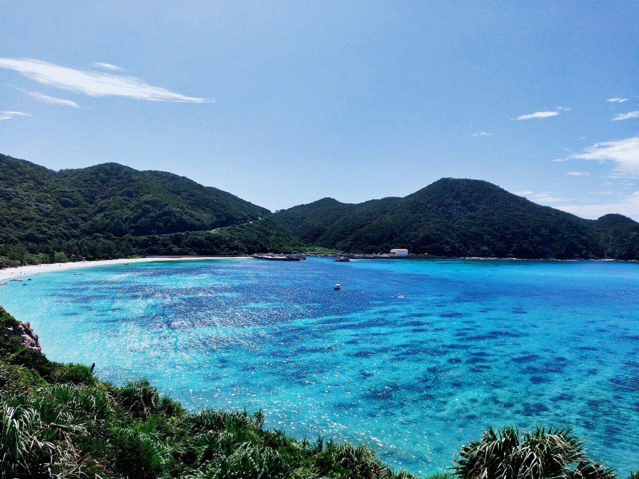 [那覇泊港発] 高速船orフェリーで行く★ランチ付★渡嘉敷島＜熱帯魚の楽園♪阿波連ビーチ＞