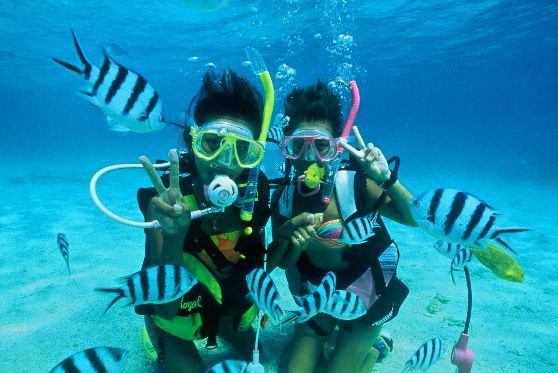 美ら海水族館から10分！橋で繋がる【　瀬底島　】で体験ダイビング