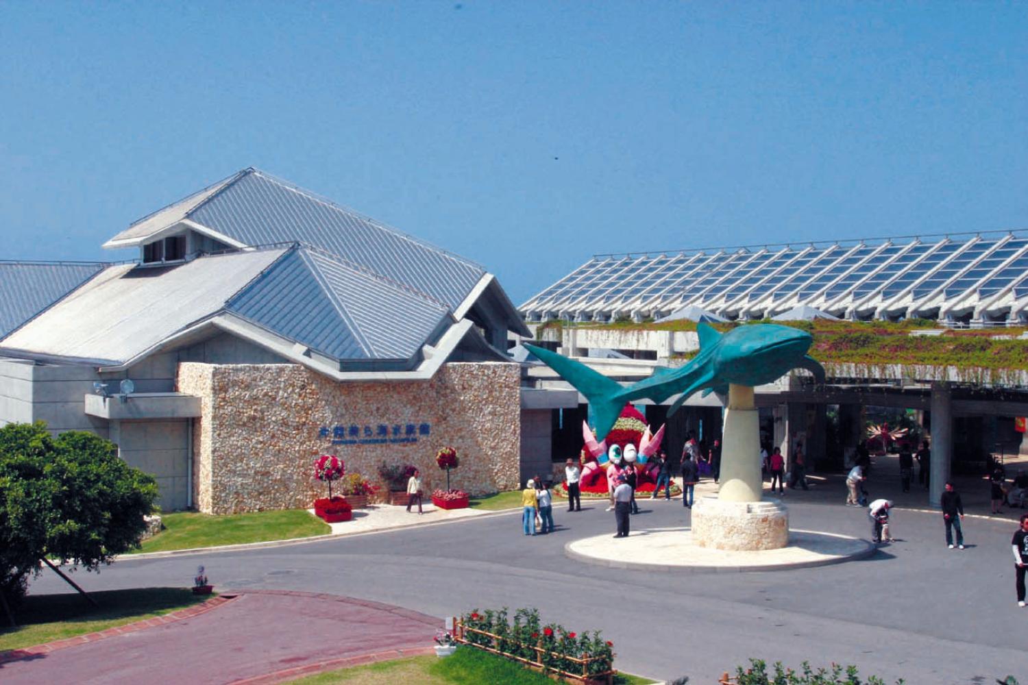 沖縄美ら海水族館バス 乗り物で楽しむ のアウトドアやレジャー 体験ツアー 旅プラスワン 沖縄美ら海水族館バス 乗り物で楽しむ のアウトドアやレジャー 体験ツアー 旅プラスワン