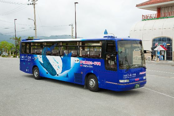 欲張り☆ラド美ら海号