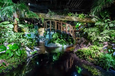 かりゆしDMM水族館