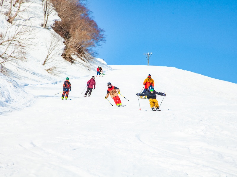 photo2