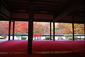＜H＞季節限定コース☆錦秋の正暦寺・弘仁寺／奈良交通