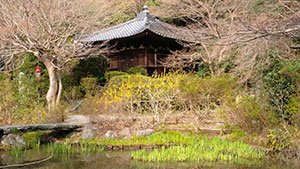 photo2
