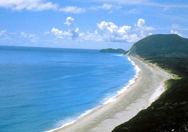 【新島～絶景！ 青い海を眺めに行こう】旅館 大野屋宿泊プラン★（2025.7.1～9.29）【東京の宝島】