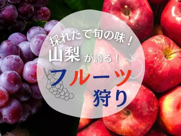 【東京発】日本一の富士山＆紅葉ライトアップコラボとぶどうとりんごのWフルーツ狩り