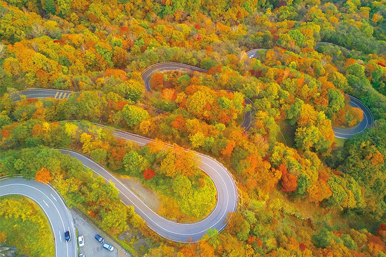 【H1000】紅葉奏でる世界遺産日光東照宮と華厳の滝