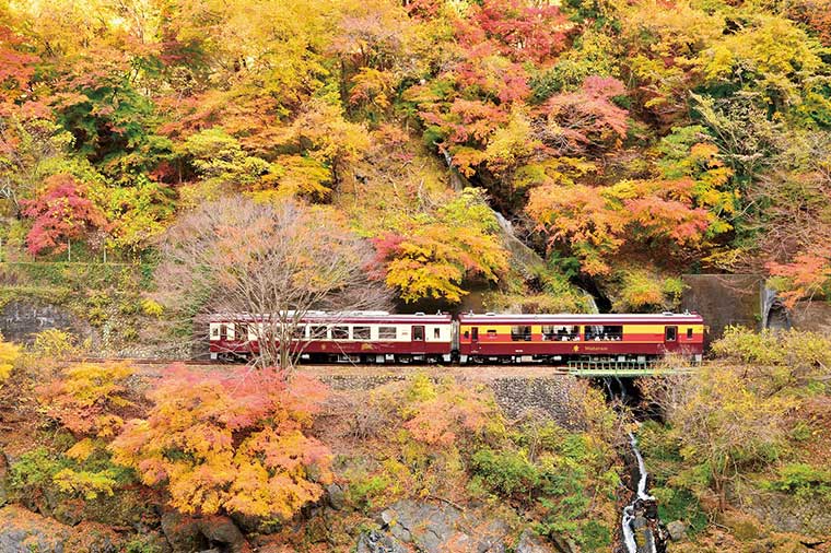 【H2020】紅葉を走るわたらせ渓谷トロッコと栃木名物にっこり梨