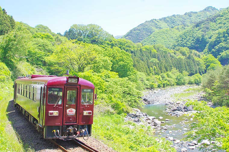 【H2088】深緑のわたらせ渓谷鐵道&富弘美術館と霜降りポーク福豚しゃぶしゃぶ