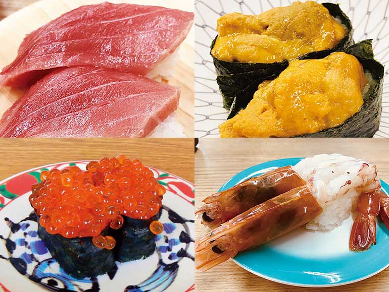 【H3011】国営ひたち海浜公園もこもこコキアと那珂湊大ネタ回転寿司食べ放題