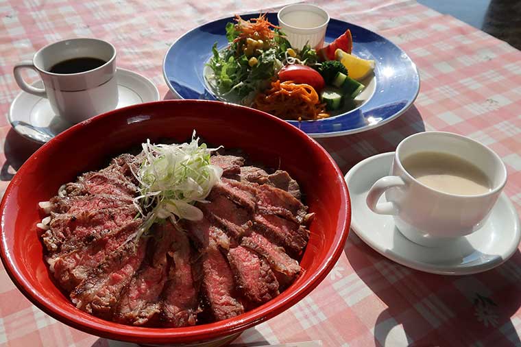 【H3018】ひたち海浜公園もこもこコキアと国産霞浦牛ステーキ丼
