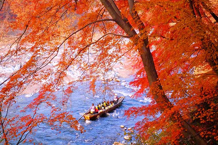 【H4012】秋の長瀞ラインくだりと冬桜・紅葉の競演“桜山公園”