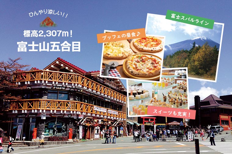 【H5012】秋到来!フジヤマテラスランチブッフェと富士山五合目・山梨ぶどう狩り