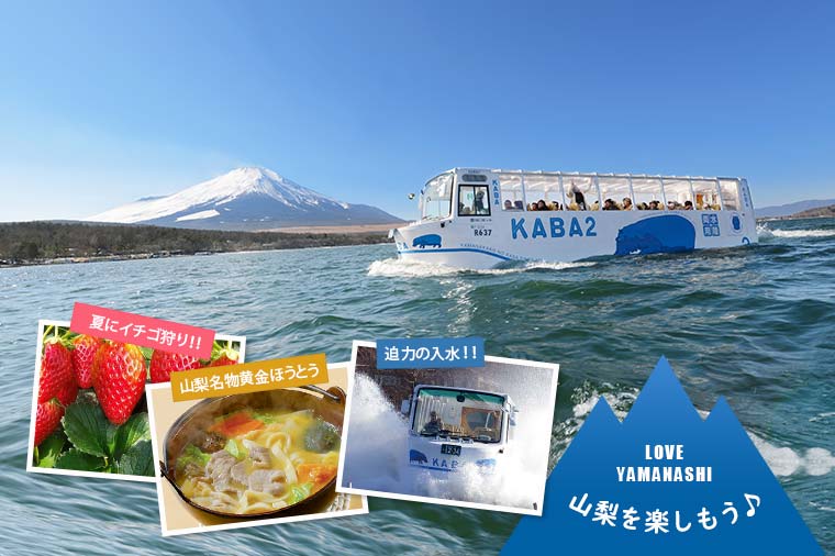 【H5093】夏にいちご狩り!?迫力の水陸両用カババスクルーズと山梨名物黄金ほうとう