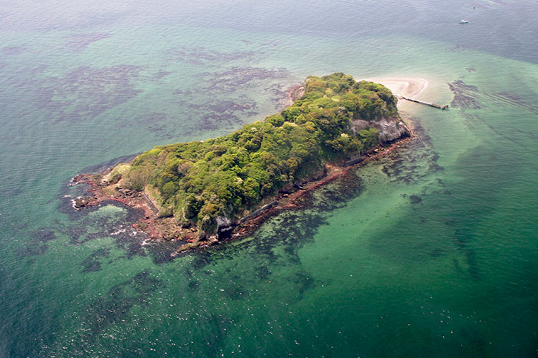 【A7749】無人島「猿島」とＹＯＫＯＳＵＫＡ軍港めぐりクルーズ