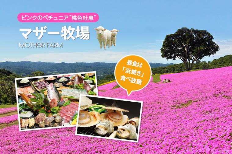 【H8022】チーズがとろける浜焼き食べ放題と秋色艶めくマザー牧場