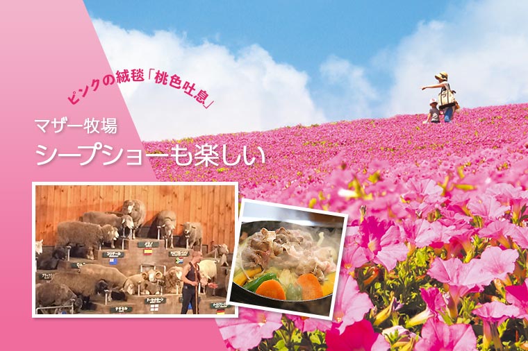【H8065】マザー牧場“桃色吐息”とジンギスカン食べ放題・東京ドイツ村