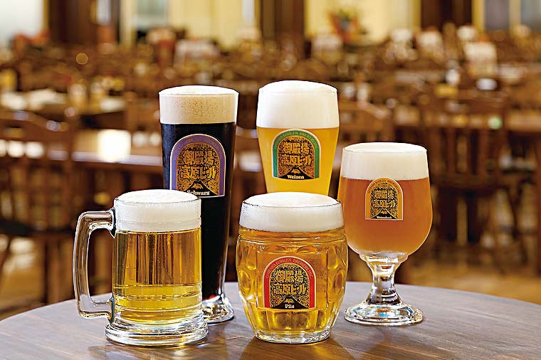 【H9048T】【トイレ付バス・アストロメガで行く】地ビール飲み放題バイキングと時之栖イルミネーション