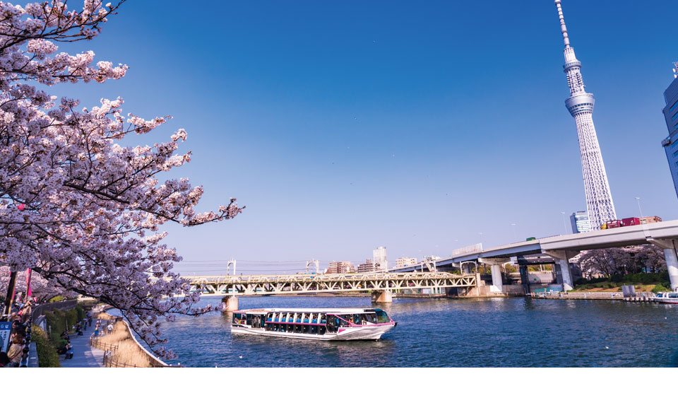 隅田川桜クルーズ