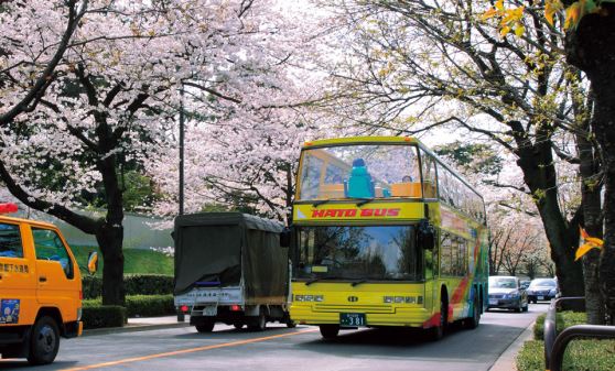 桜バスツアー