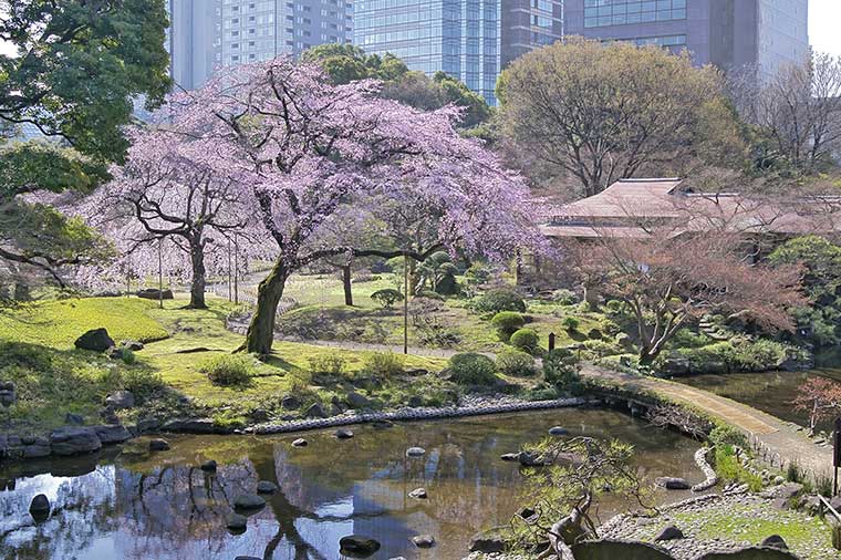 六義園