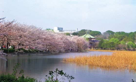 上野公園