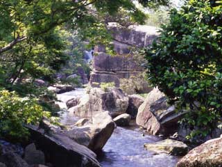 ナガシマ入園&湯あみの島入浴券付プラン