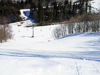 photo1