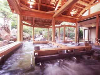 【大阪発・ナガシマスパーランド】湯あみの島入浴券付 日帰りバスプラン！