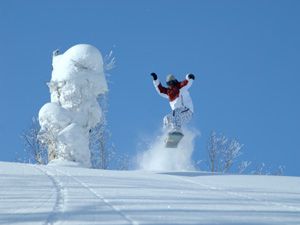 札幌・定山渓⇒札幌国際スキー場　直行スキーバス