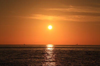 photo2