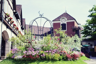 photo2