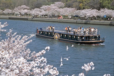 水上バス「ひまわり 春を彩る華やかな桜の大川クルーズ」