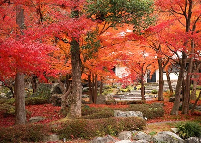 しょうざん庭園内　イメージ