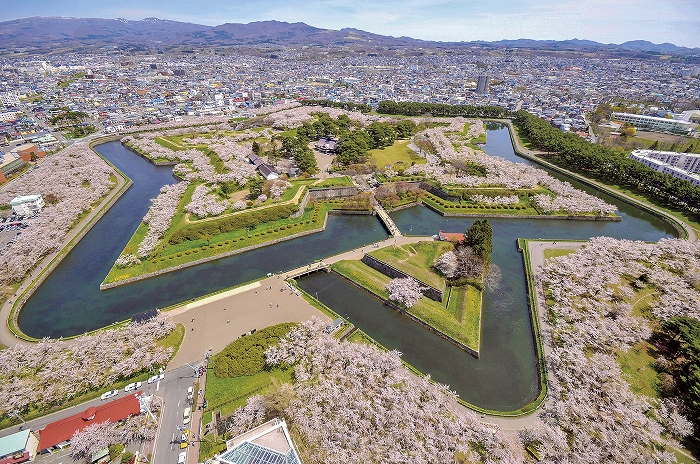 函館バスツアー