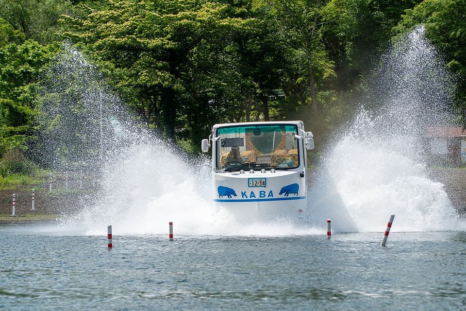 【バスごと湖へ！大迫力のダイブ体験】山中湖発着！水陸両用バス山中湖のKABA