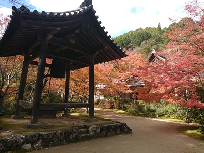 photo3