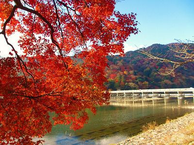 嵐山･渡月橋