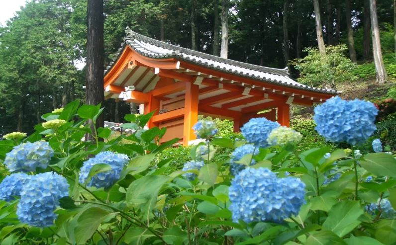 ＜L1＞第57回京の冬の旅　徳川家康ゆかりの寺院で非公開文化財をめぐる旅